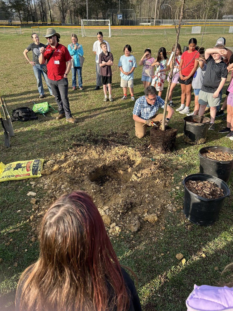 Prospect Elementary School tweet media