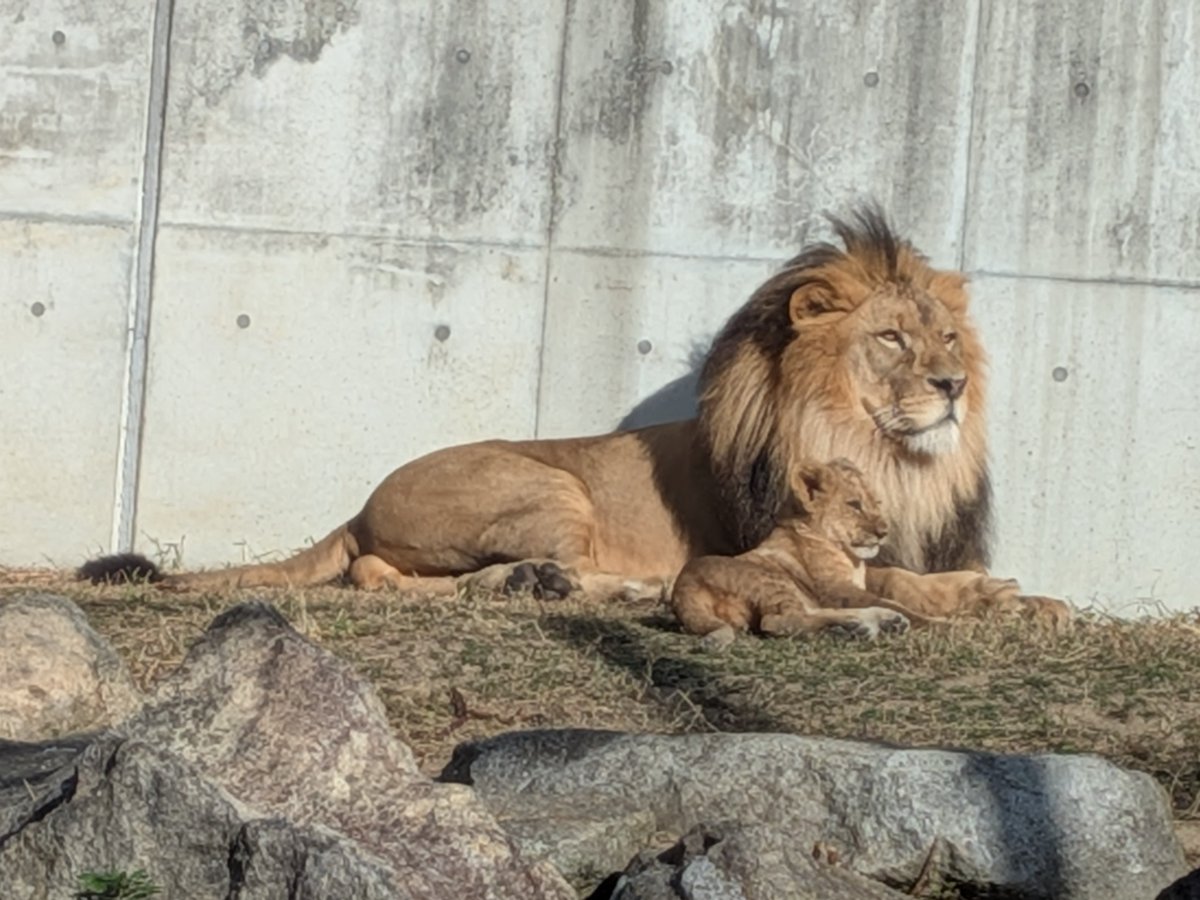 なぎさ@東山推し tweet media