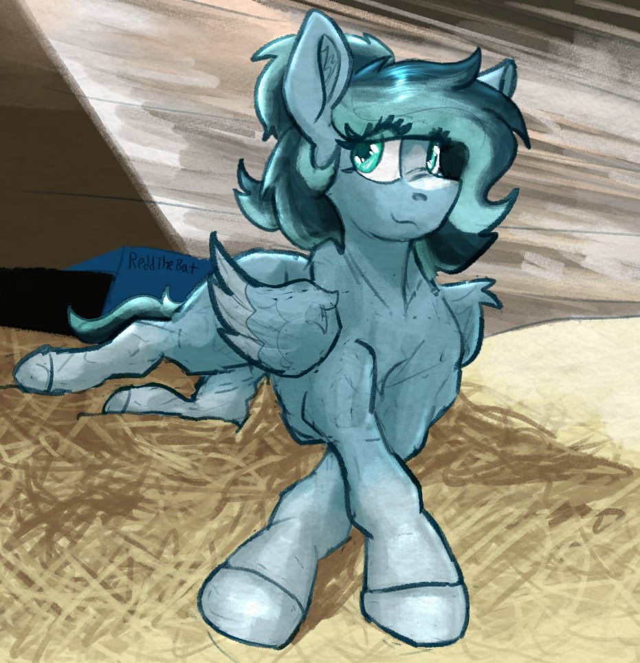 Redd 雷得 tweet media