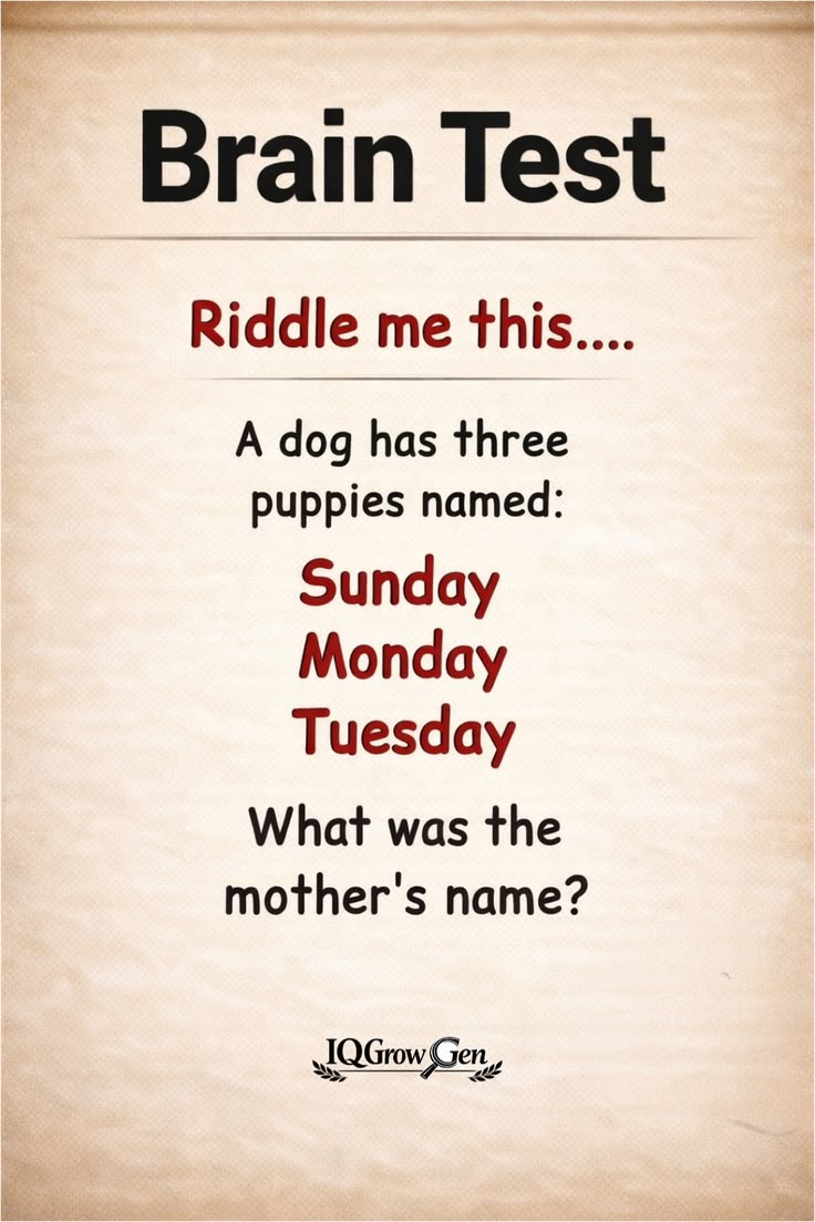 ALONE☠️ tweet media