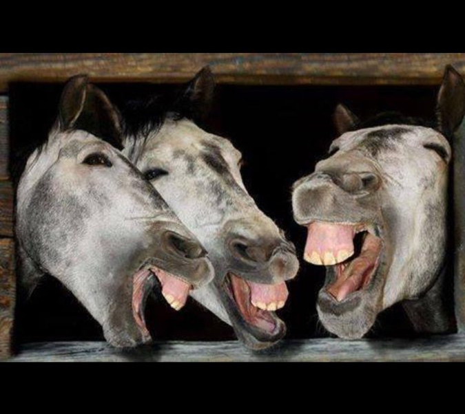 haldun erdinç tweet media