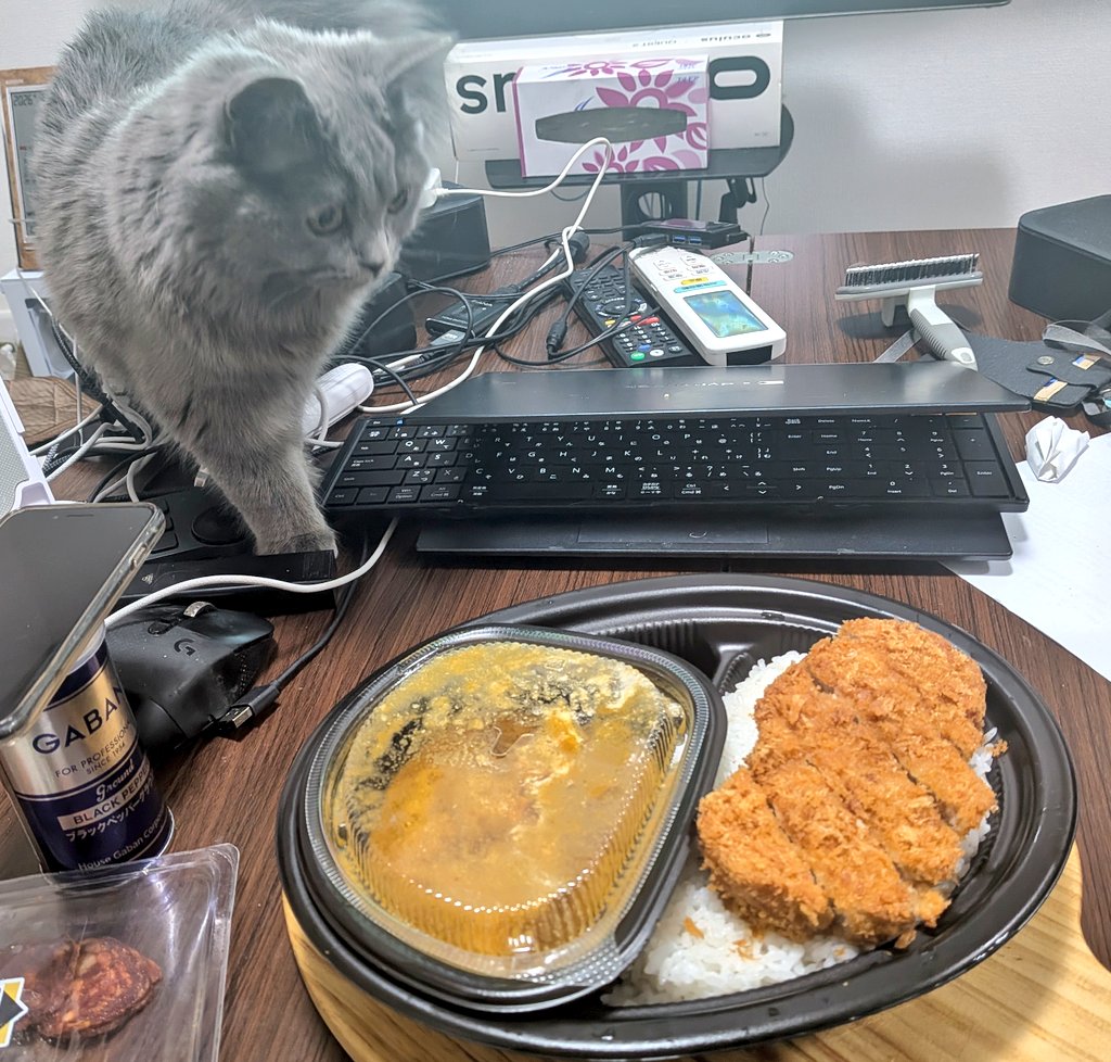 eita1227's tweet image. 浅草橋のマイカリー食堂
Uberでの利用記事。１か月だけ配送手数料無料のUberOne利用。割引だったロースかつカレー＋チーズの大盛を激辛で注文😋ロースカツが物凄く美味い。Uberはお高めなので１か月だけの利用になりそう。カレーはおススメの良店😁👍
#Uber #UberEats #カツカレー
#マイカリー食堂