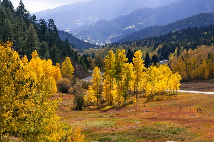 John  Bartelt tweet media