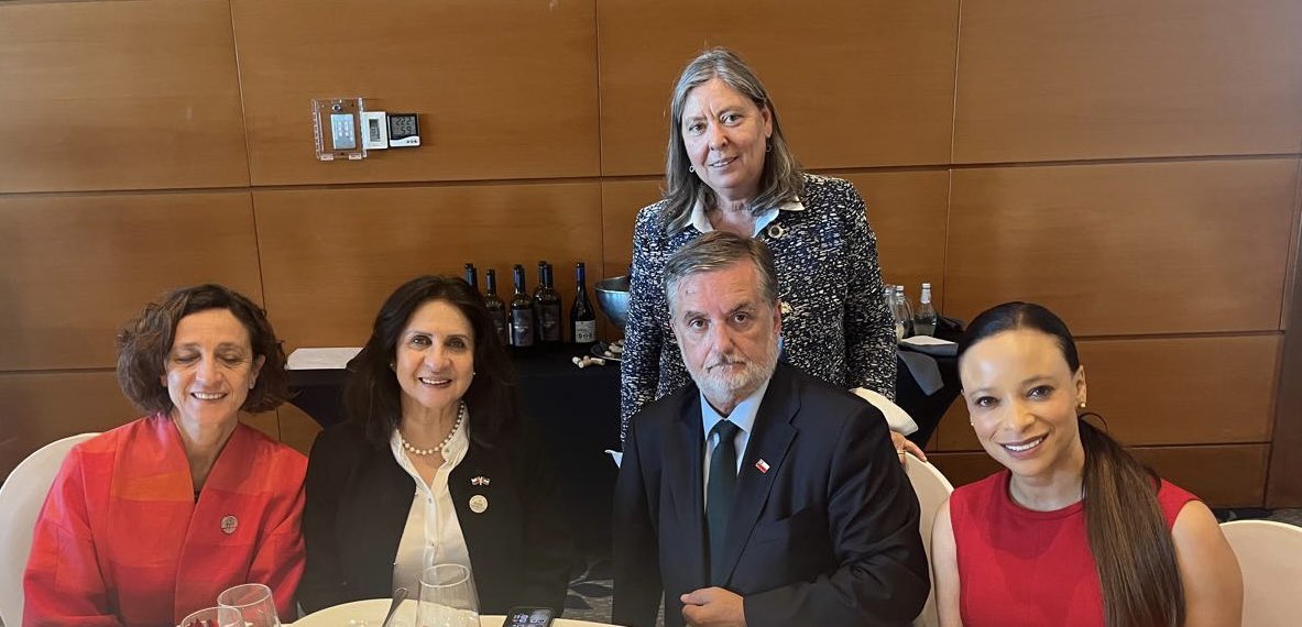 ONU Chile tweet media