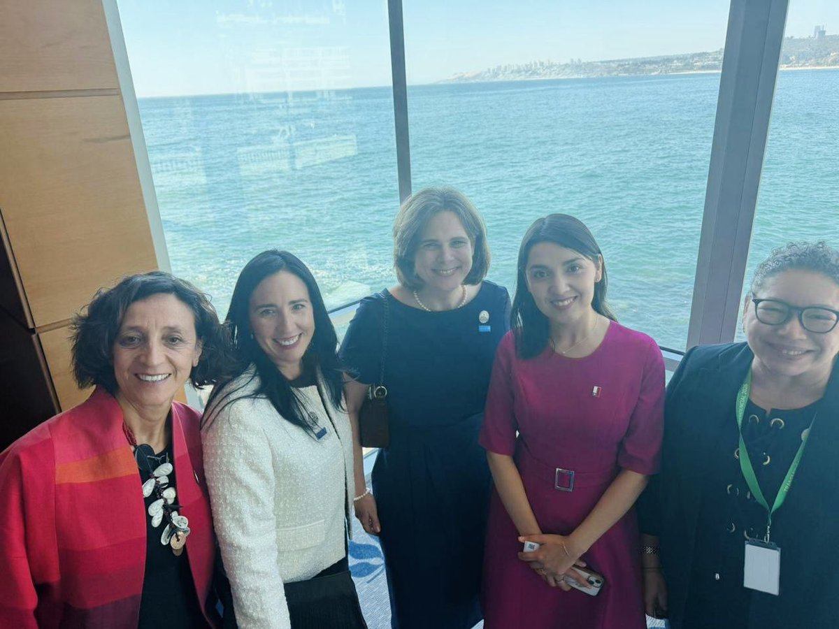 ONU Chile tweet media