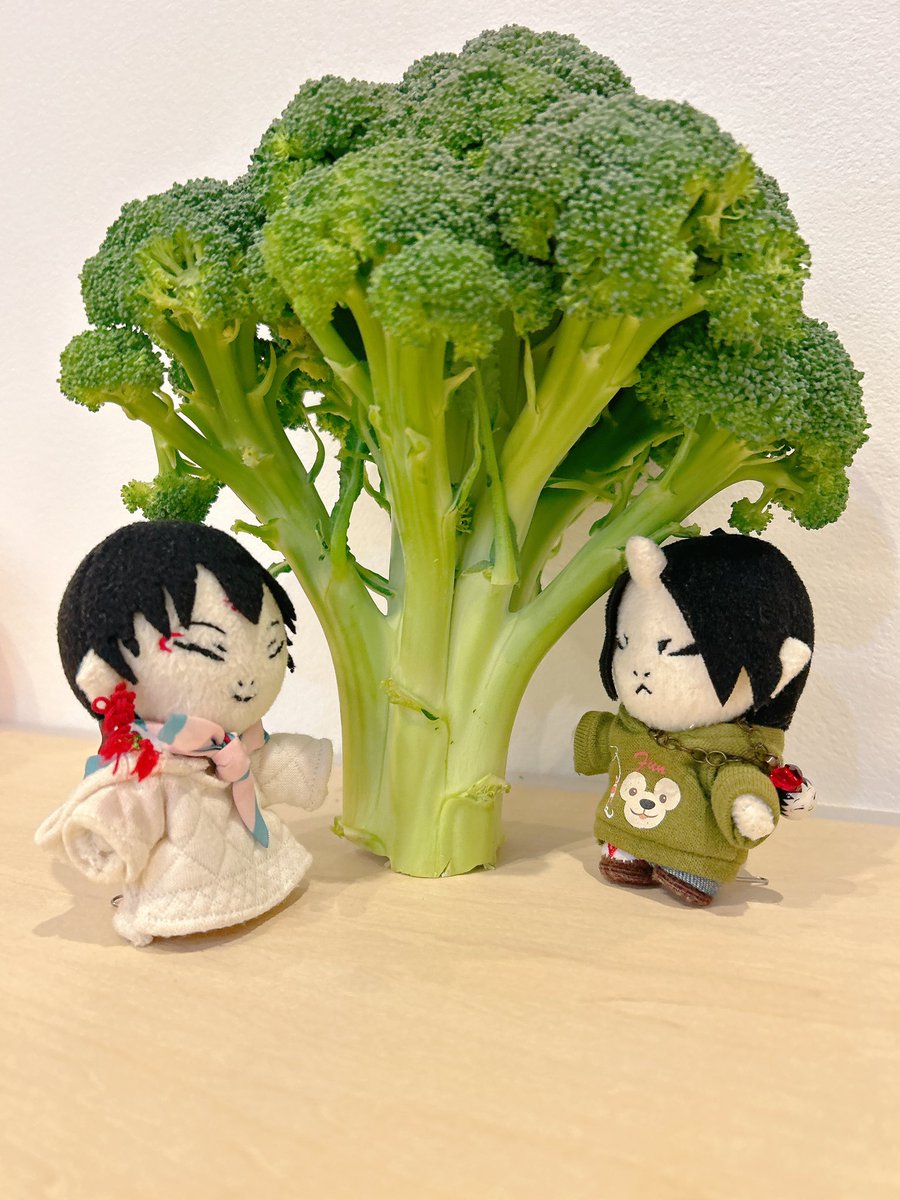 Lovely_hakkun's tweet photo. 🥦😳✨ https://t.co/SkWYbJ5jjb