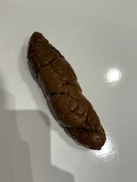 ScatBR PIG tweet media