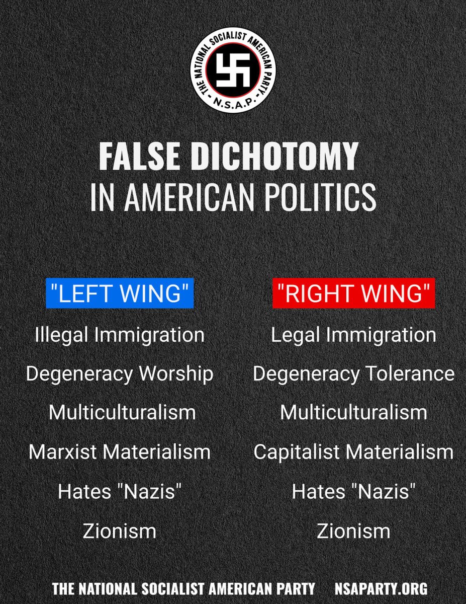 The National Socialist American Party tweet media