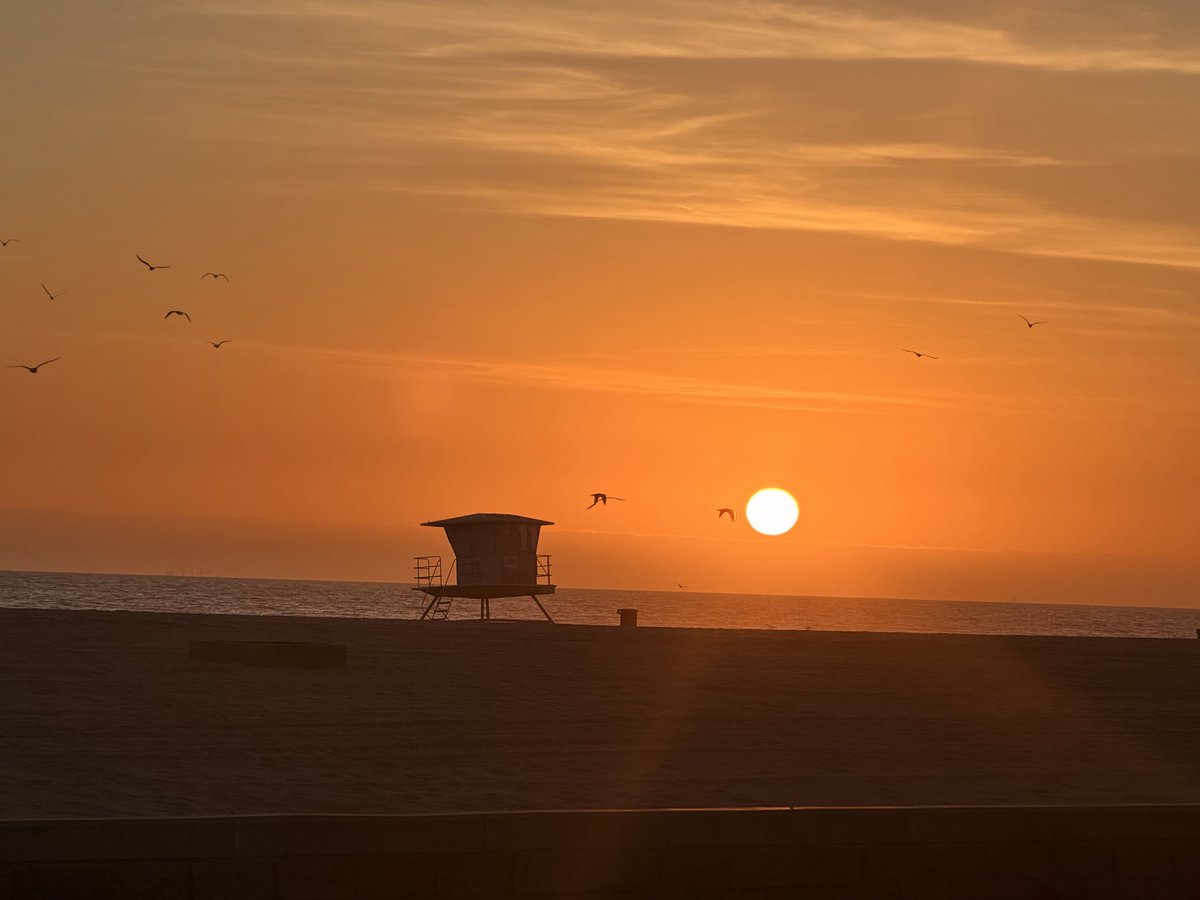 Maryam Soltanolkotabi tweet media