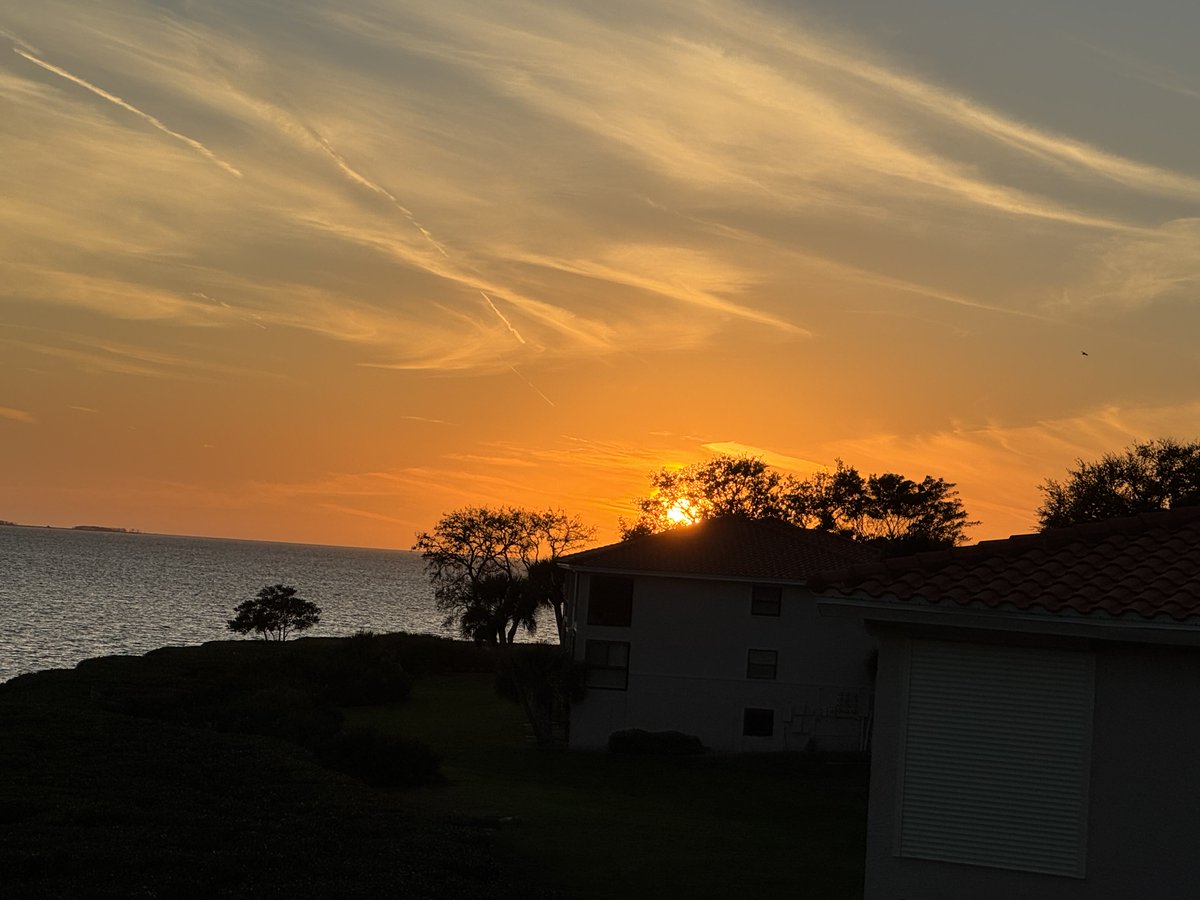 CurmudgeonAtLarge tweet media