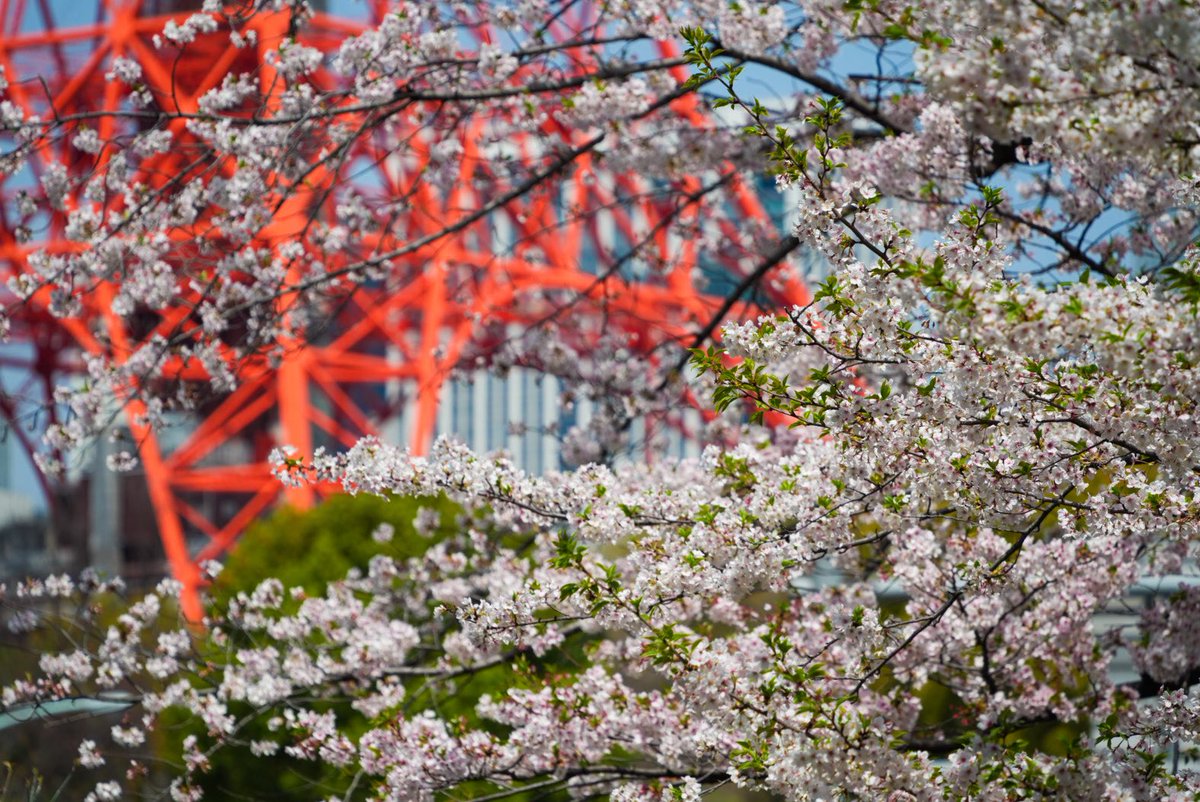 Eri Inoue tweet media