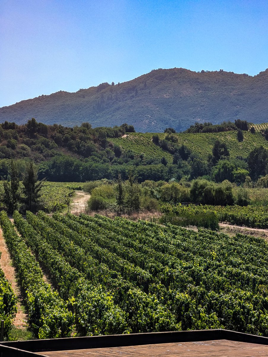 Nicholas tweet media