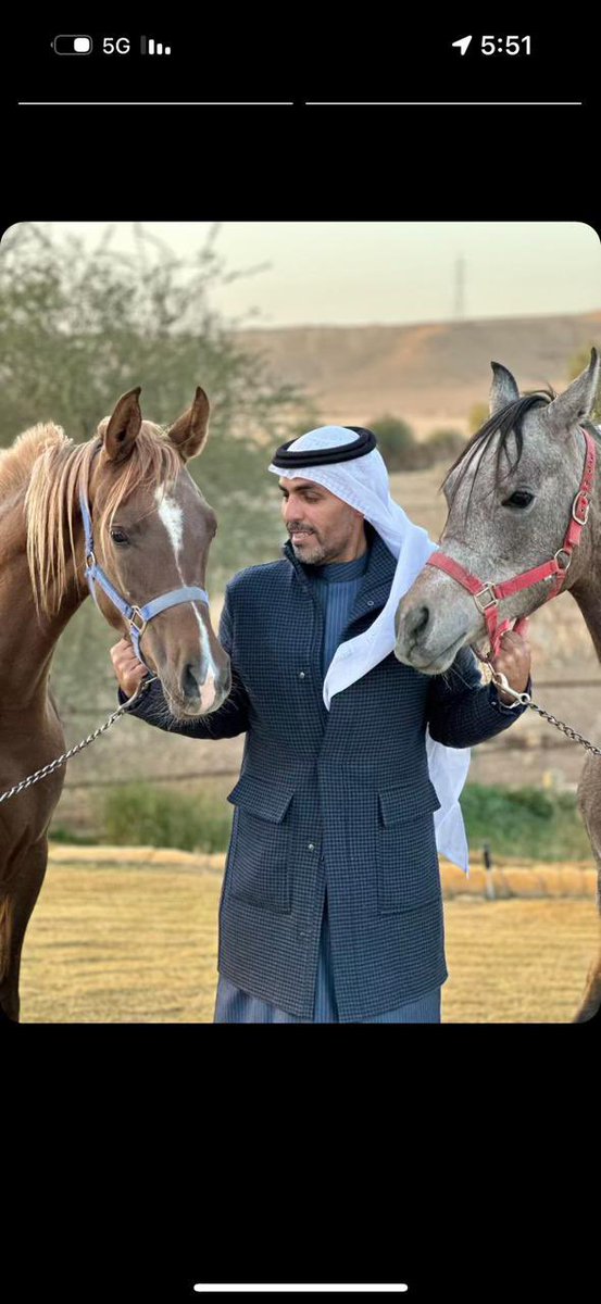 مزاد(أبوعبيد) للخيول tweet media