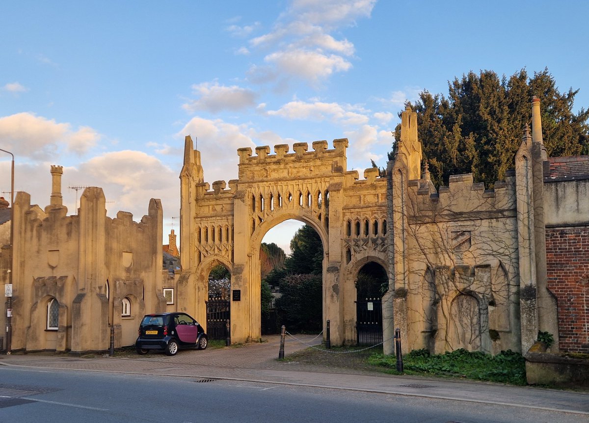 Mark Hayes tweet media