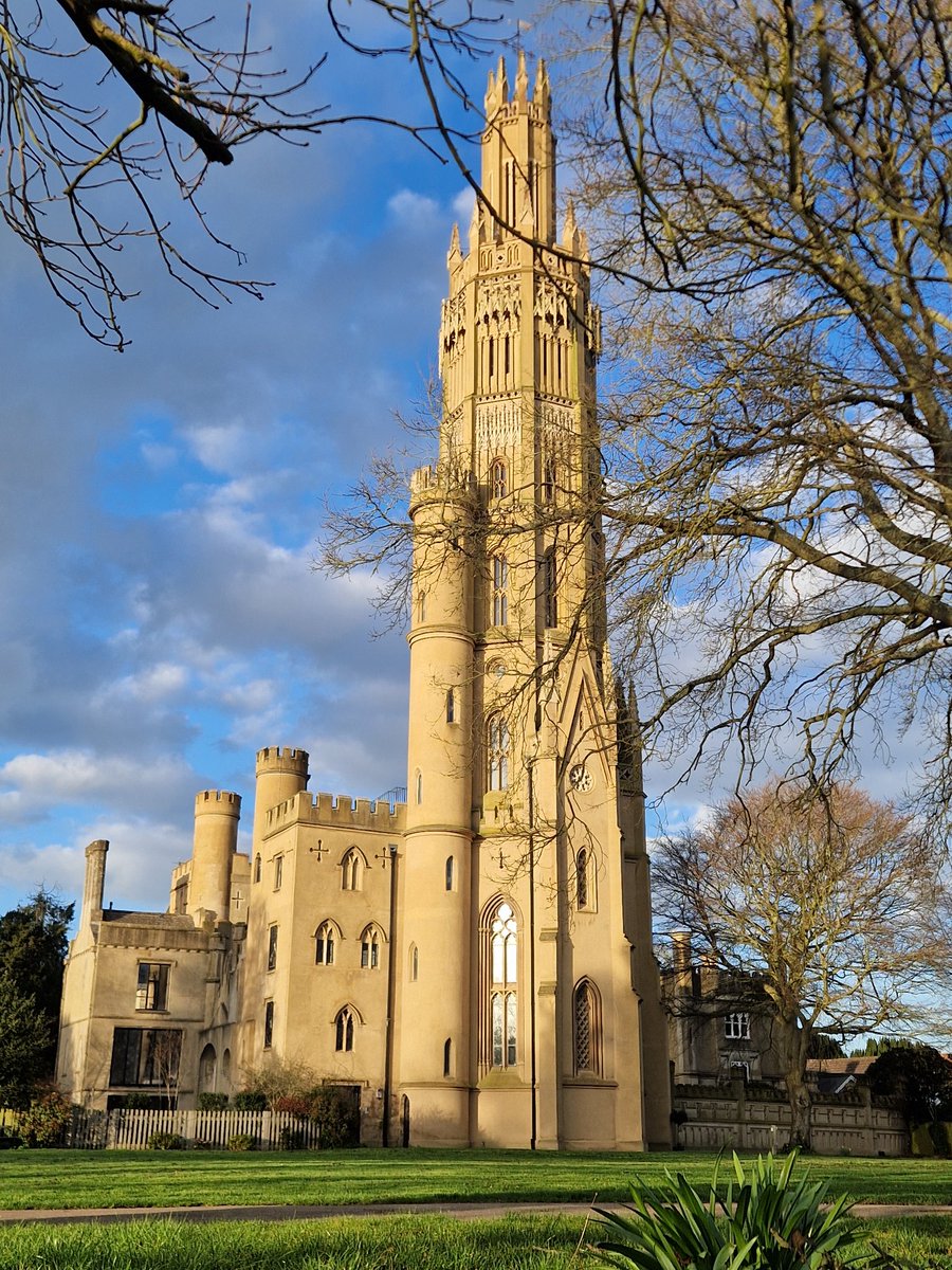 Mark Hayes tweet media