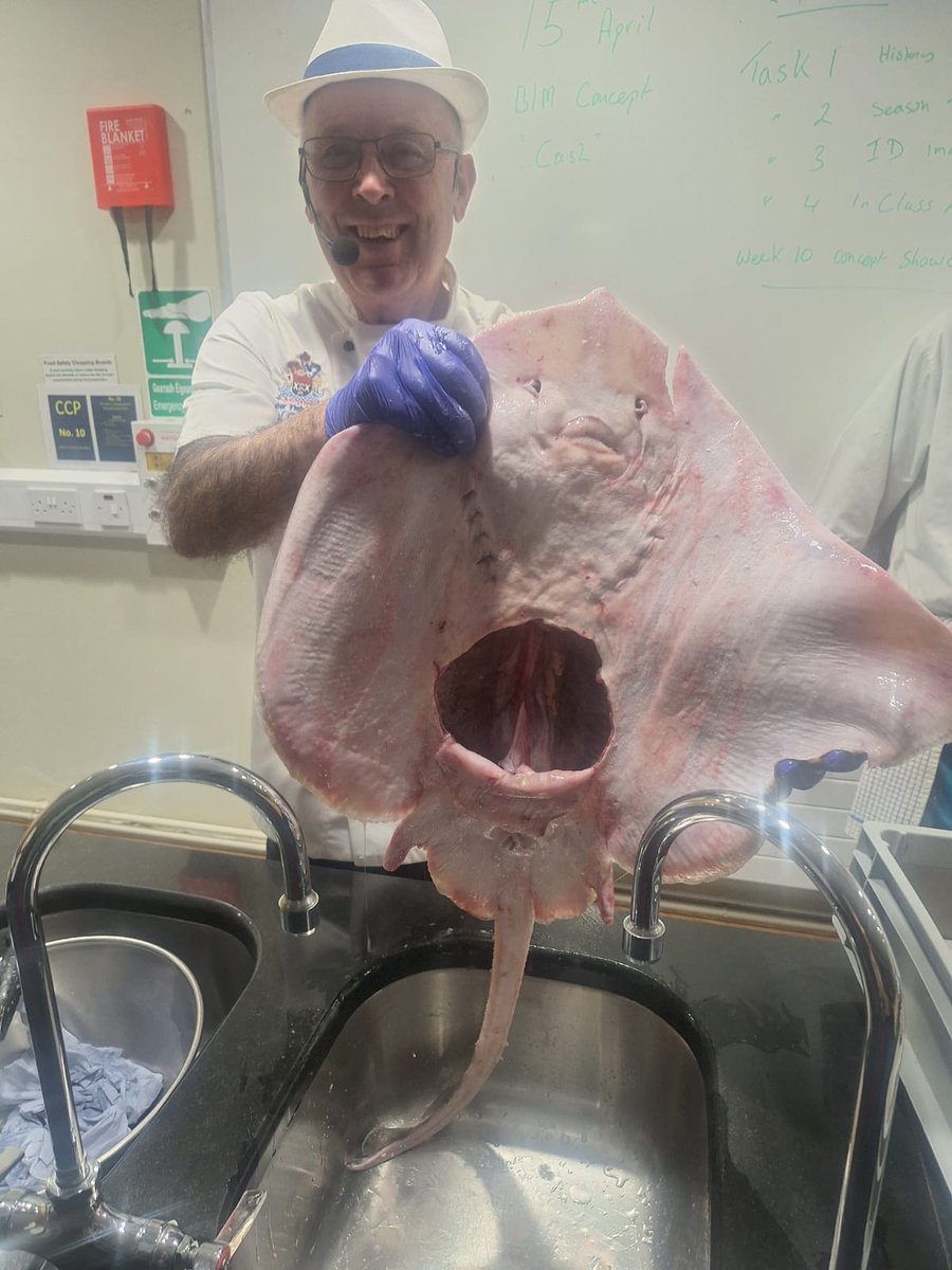 Hal Dawson Master Fishmonger Seafish Ambassador NI tweet media