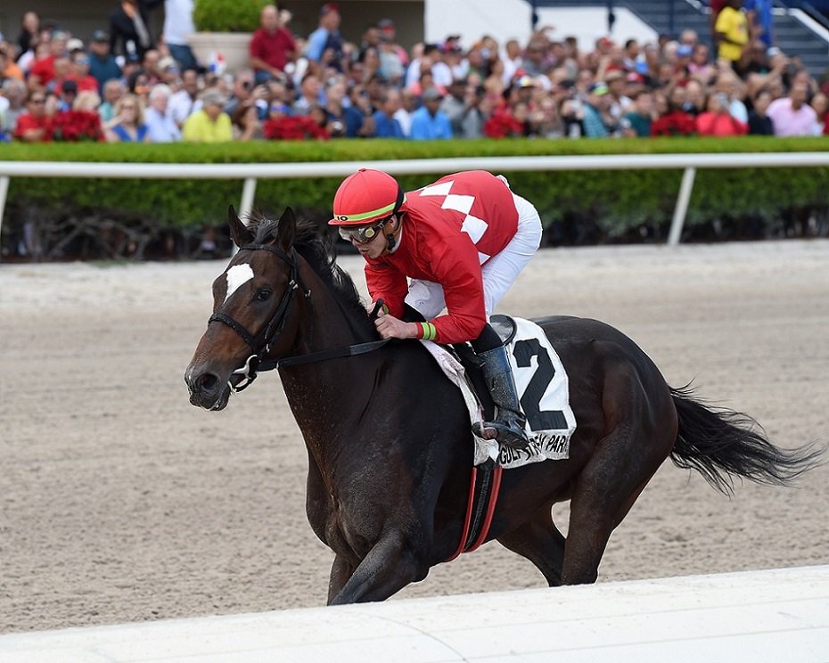 A Kukulkán, uno de los caballos ganadores de la Triple Corona Mexicana.