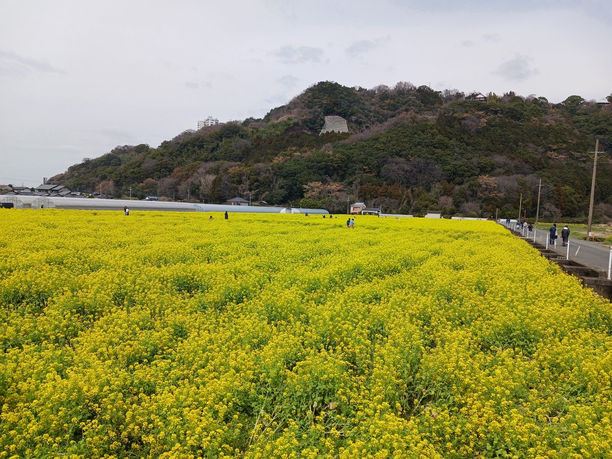 株式会社QCDクリエイト苅田 tweet media