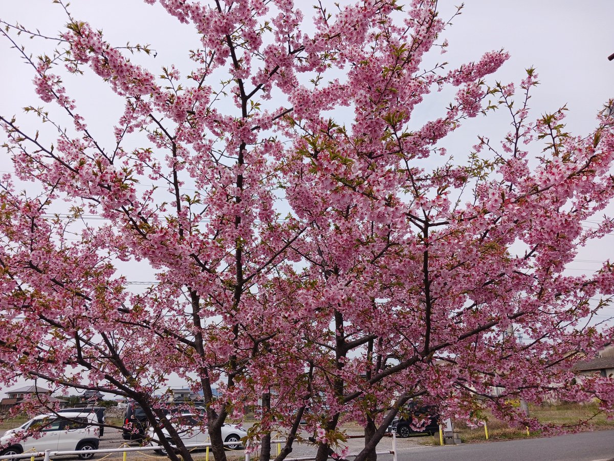 株式会社QCDクリエイト苅田 tweet media