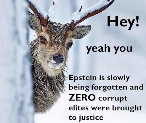 <a href="/wikileaks/">WikiLeaks</a> <a href="/RealCandaceO/">Candace Owens</a>