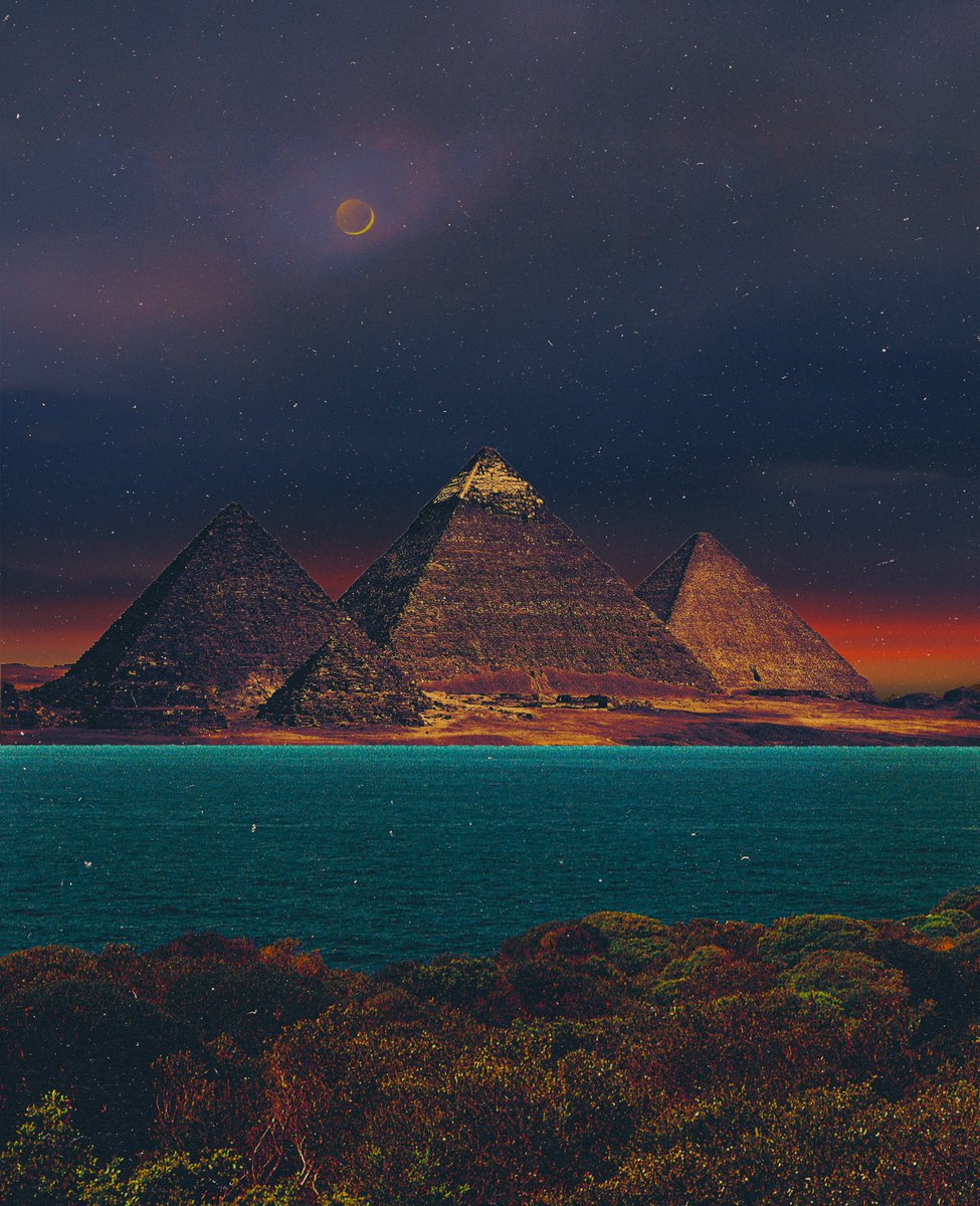 post wook ✨🌻 tweet media