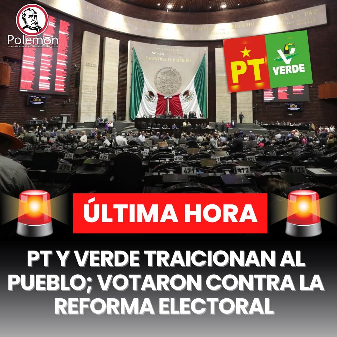 Morena Noticias tweet media