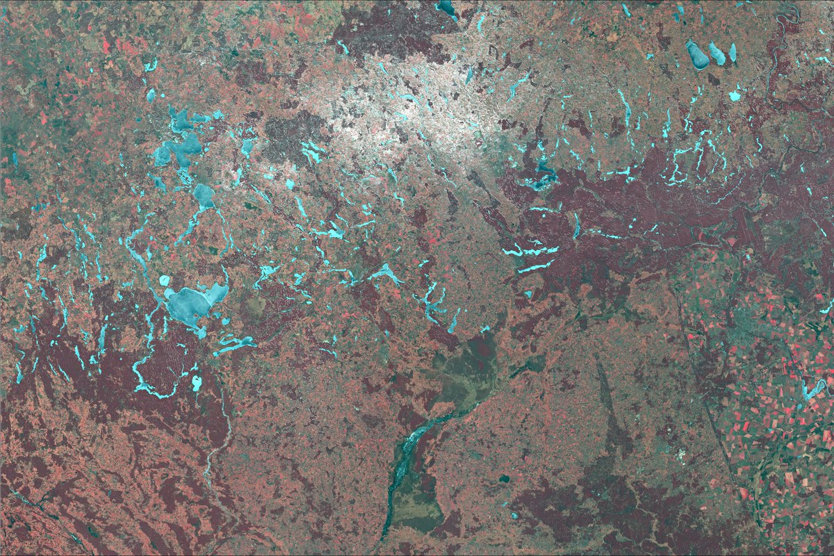 Kamil Onoszko 🇵🇱 tweet media