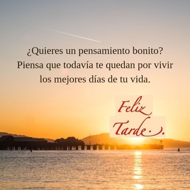 CKadaffy tweet media