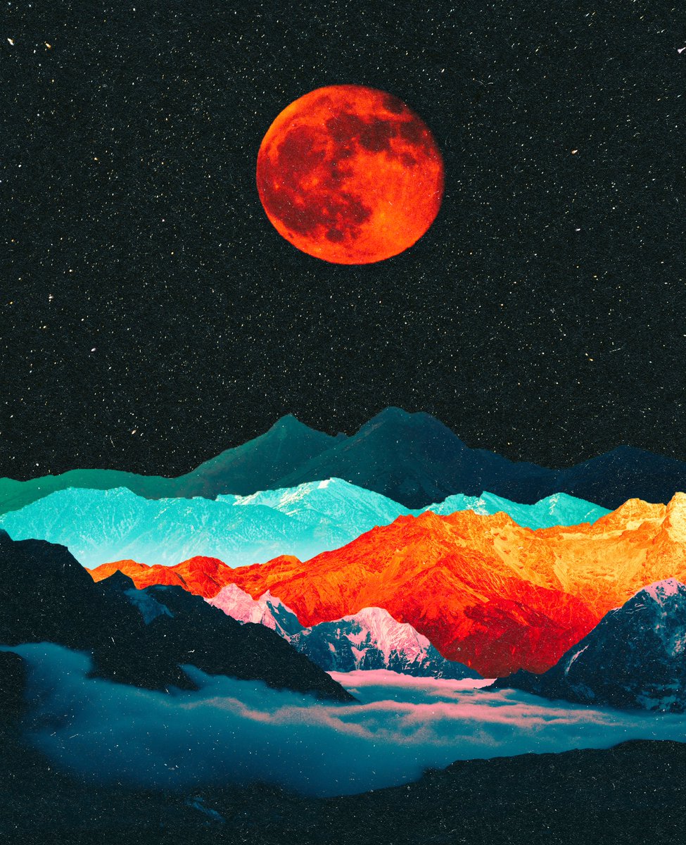 post wook ✨🌻 tweet media