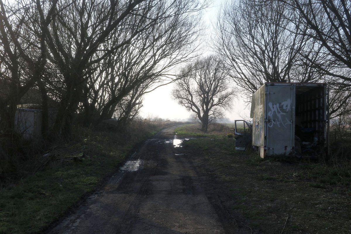 Scullridge tweet media