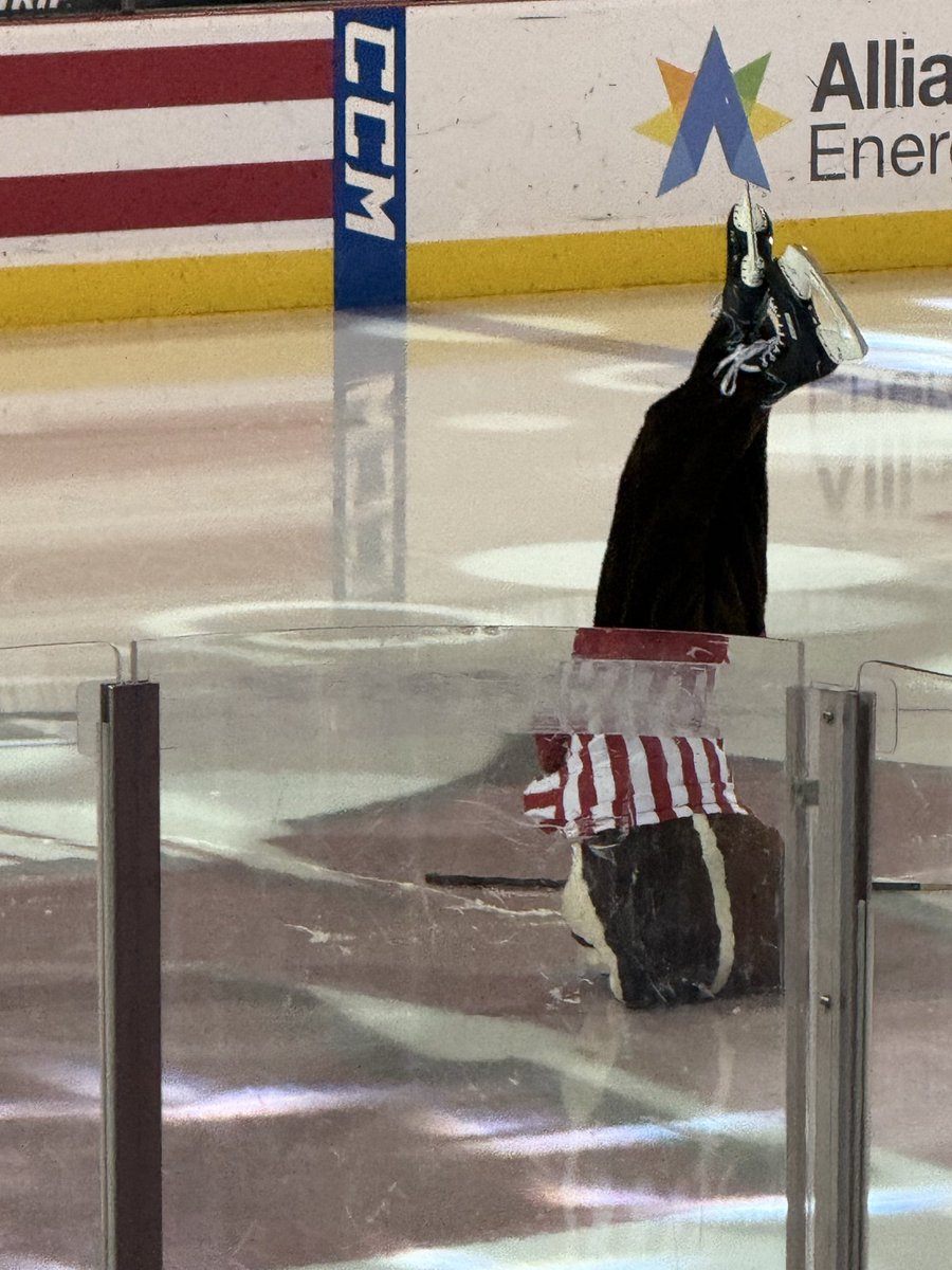 BSteph12 tweet media