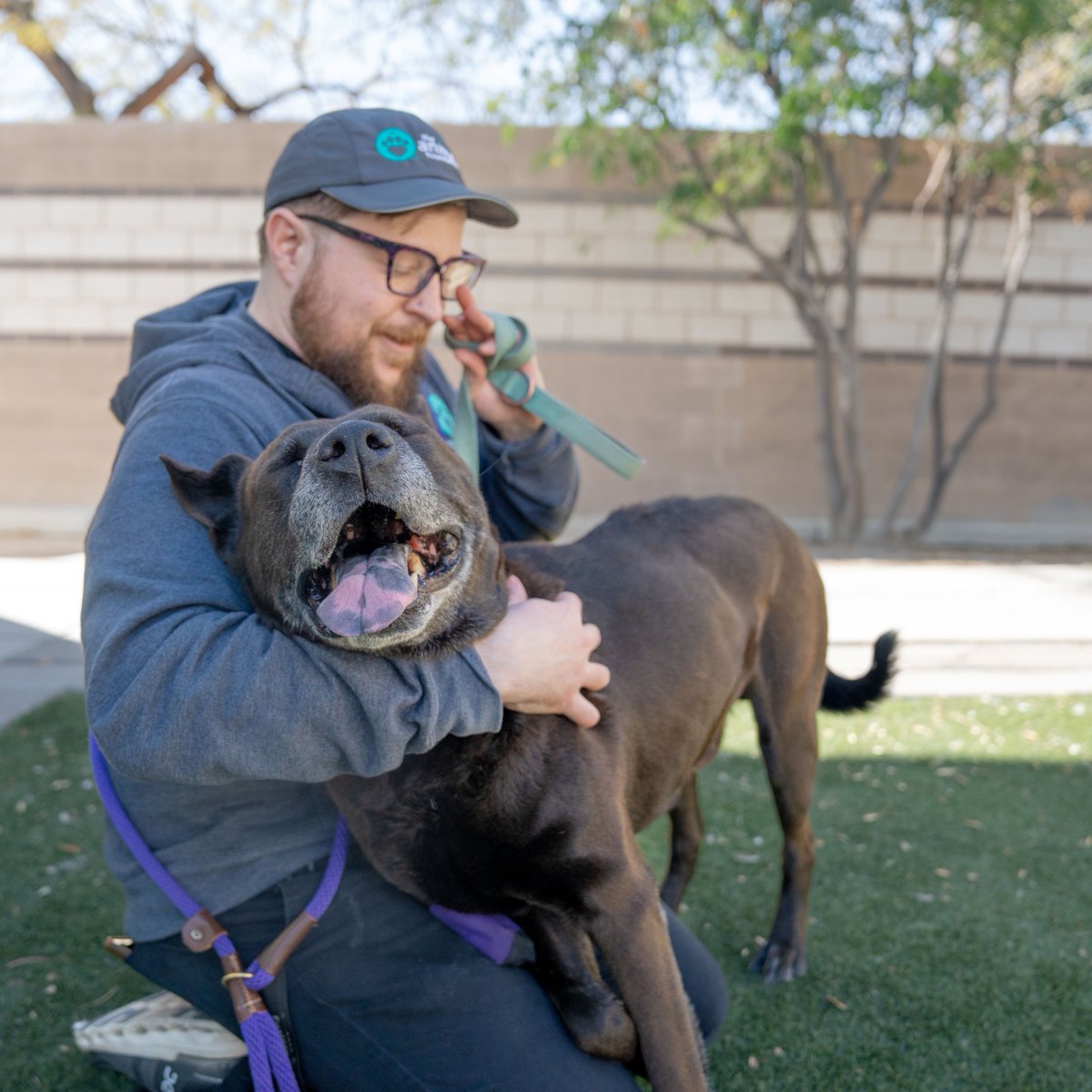 The Animal Foundation tweet media