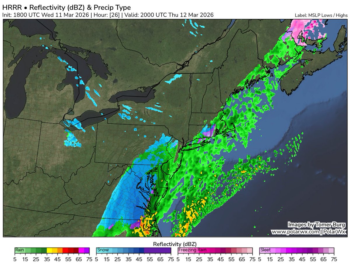 Tomer Burg tweet media