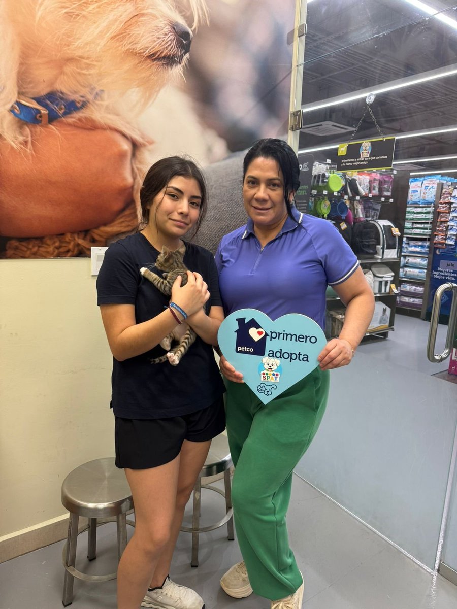 Sociedad Protectora Animal Tamaulipeca Ac tweet media