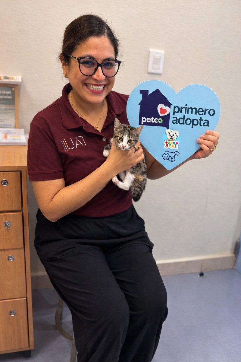 Sociedad Protectora Animal Tamaulipeca Ac tweet media