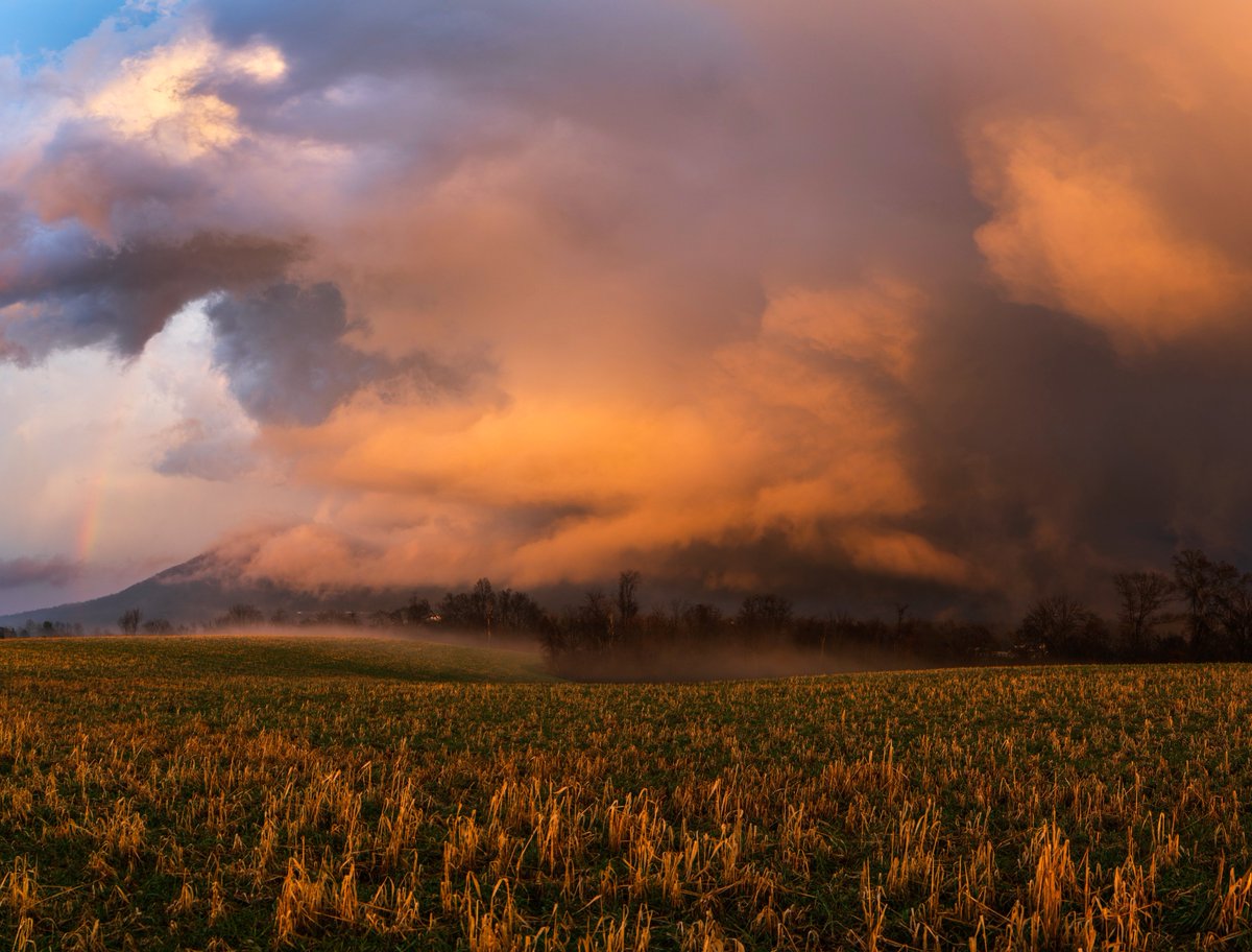 Sam Brandt tweet media