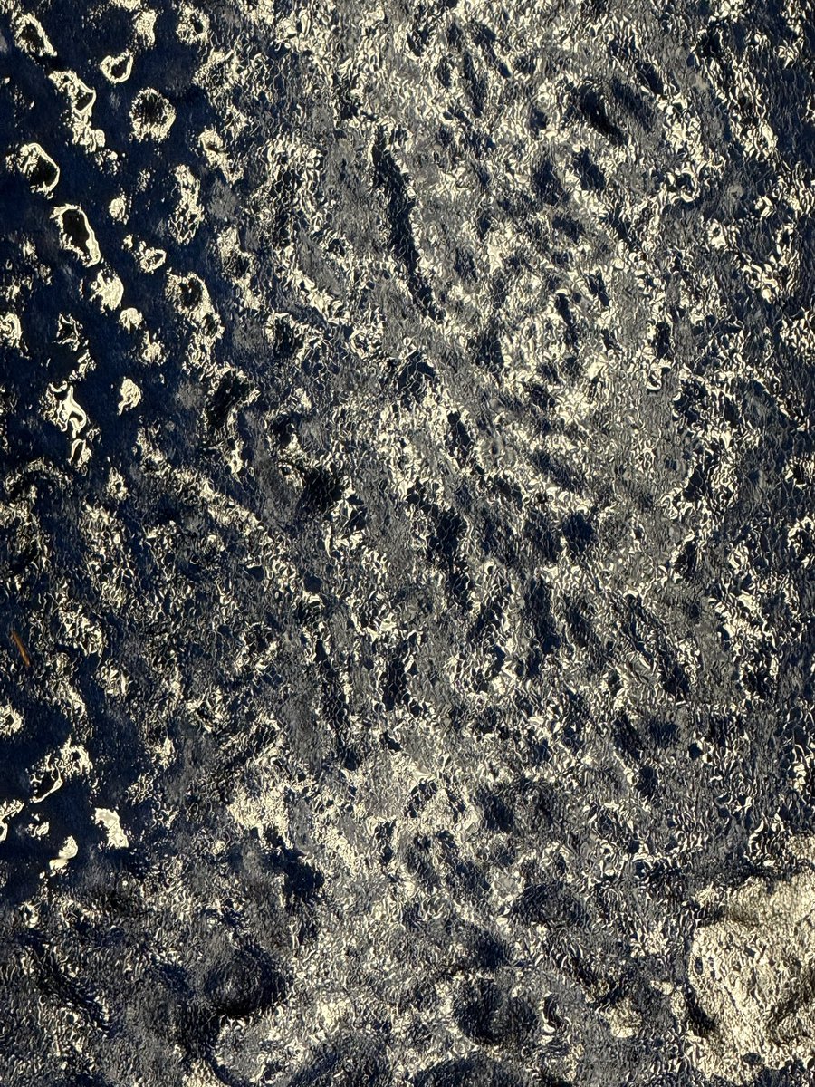 danielbeland's tweet photo. Verglas #Montreal #photos #photography #Quebec #Canada @meteomedia @weathernetwork @Monmontreal #verglas #freezingrain https://t.co/2WP6AwbQMg