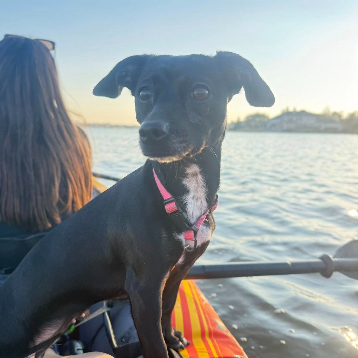 Some people wake up every morning looking for someone to criticize. It’s just who they are. They spend their days tearing others down, making accusations, and stirring up negativity. I don’t know what makes people that way, and honestly no one can change them. But while they’re