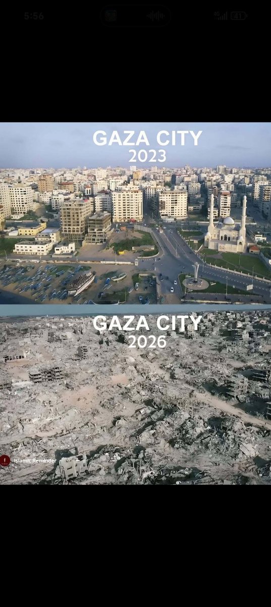 Sr. Ironía 🐍 tweet media