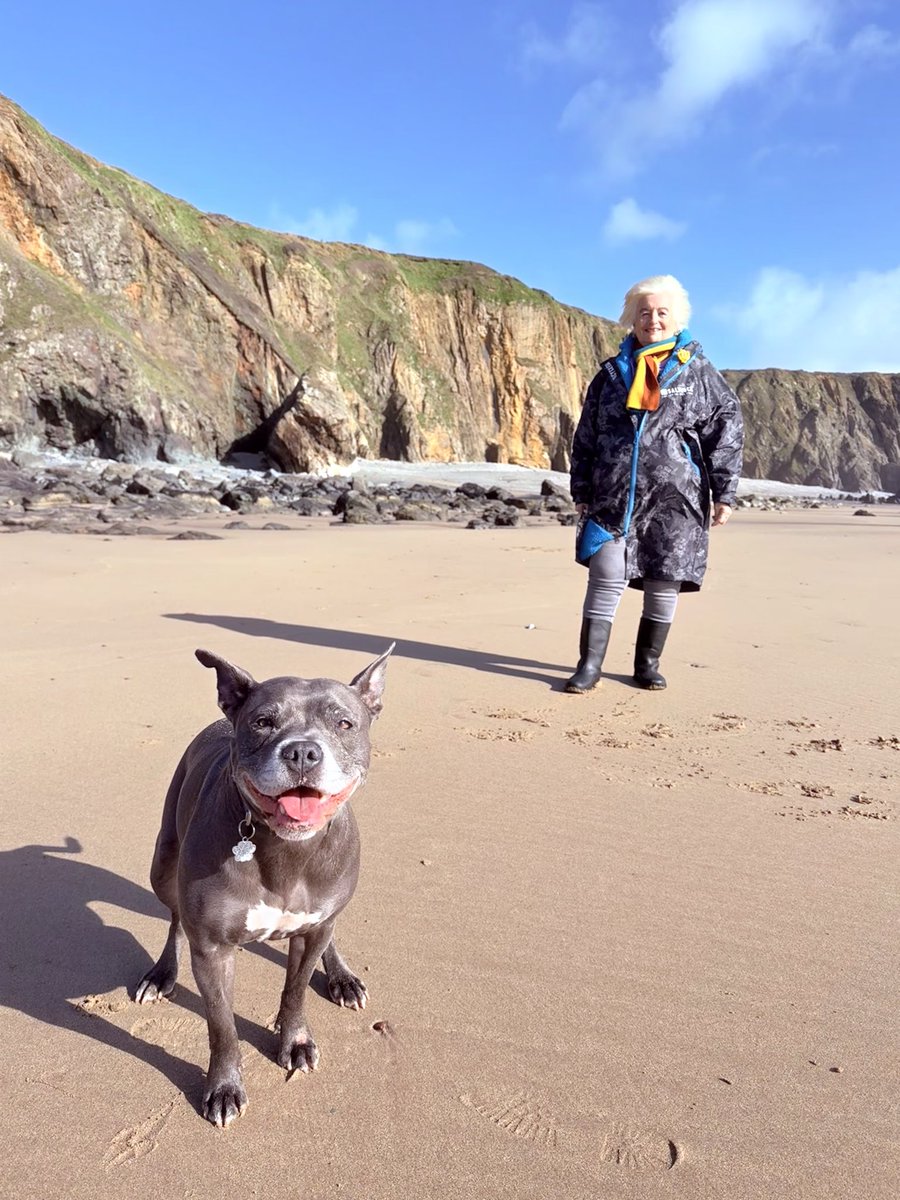 Isa Mary tweet media