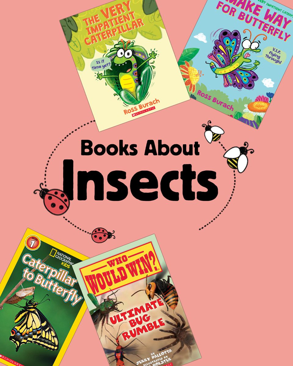 Scholastic Teachers tweet media