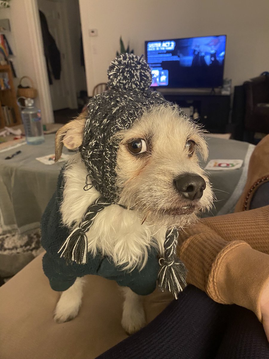 Quentina tweet media