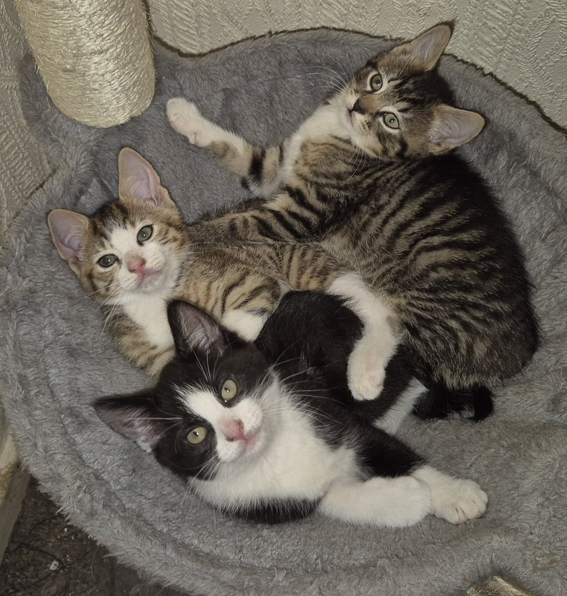 Naomi 💛 tweet media