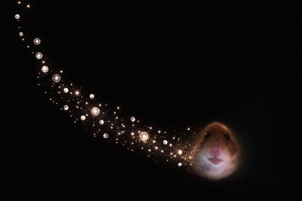 hope hopes hoping tweet media