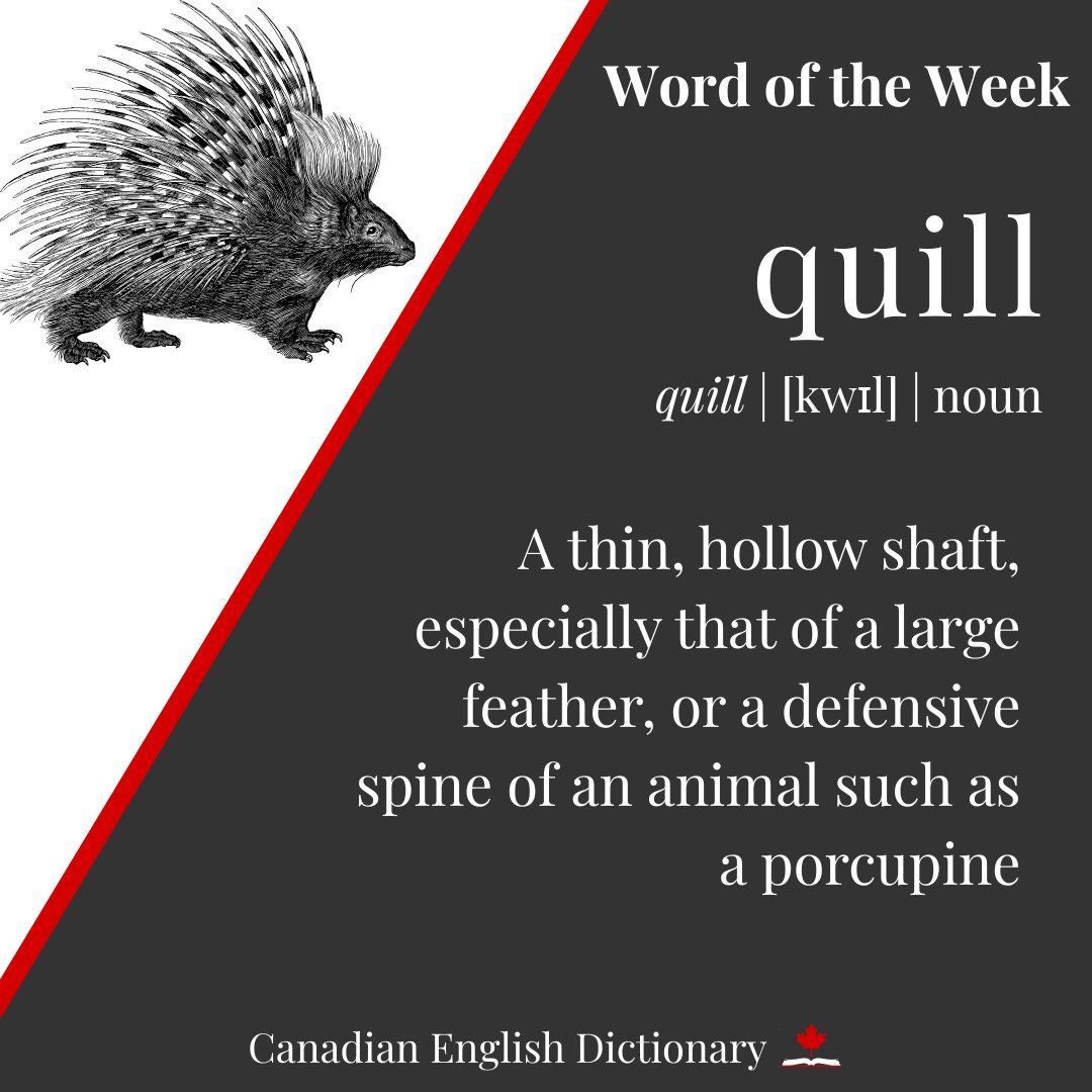 Canadian English Dictionary tweet media