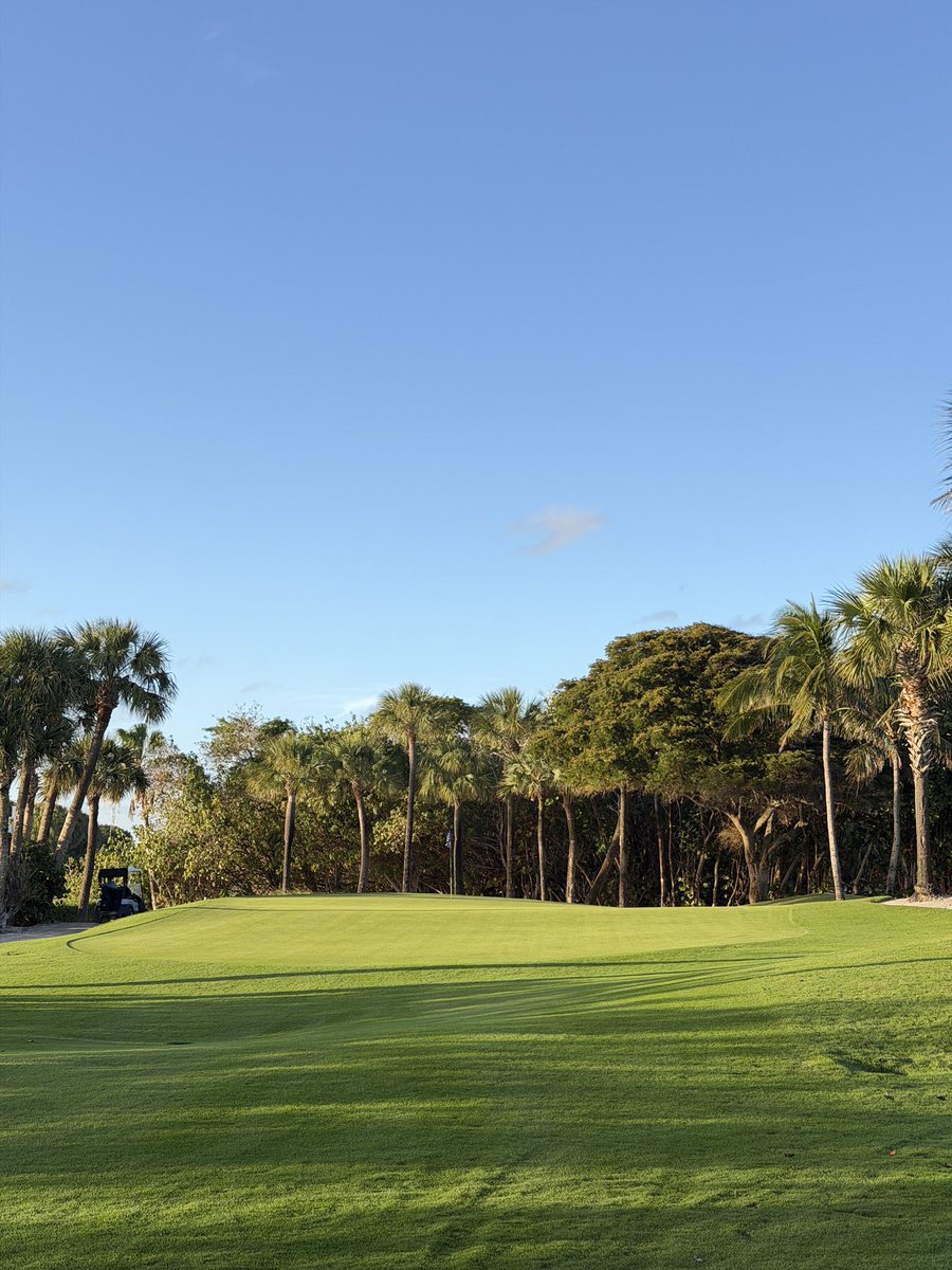 CB "MacDaddy" Macdonald tweet media