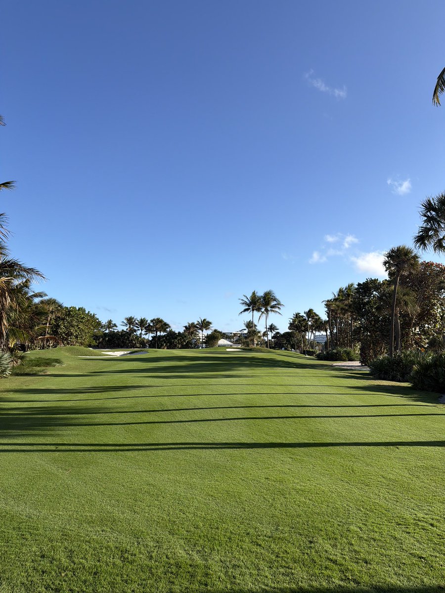 CB "MacDaddy" Macdonald tweet media