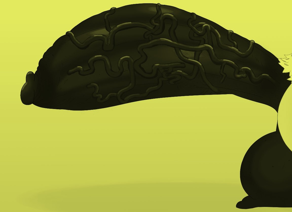 ๐๐๐๐. tweet media