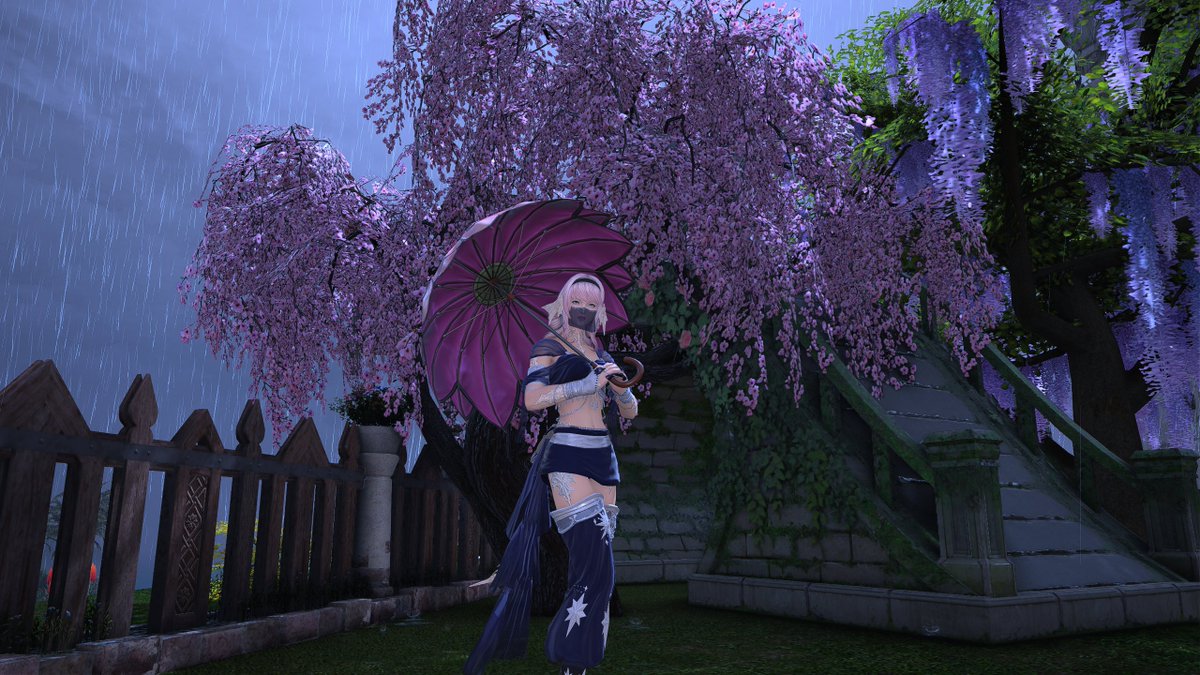 Aitherea tweet media