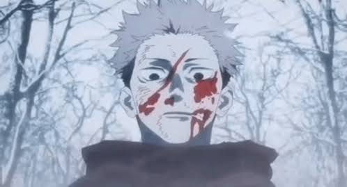AShatteredVoid's tweet photo. @flamescinder Lowkey seeing names like mahoraga, mahito, tengen and even gakuganji but NOT THE ACTUAL MC OF THE SHOW https://t.co/l5RBO7uBv2